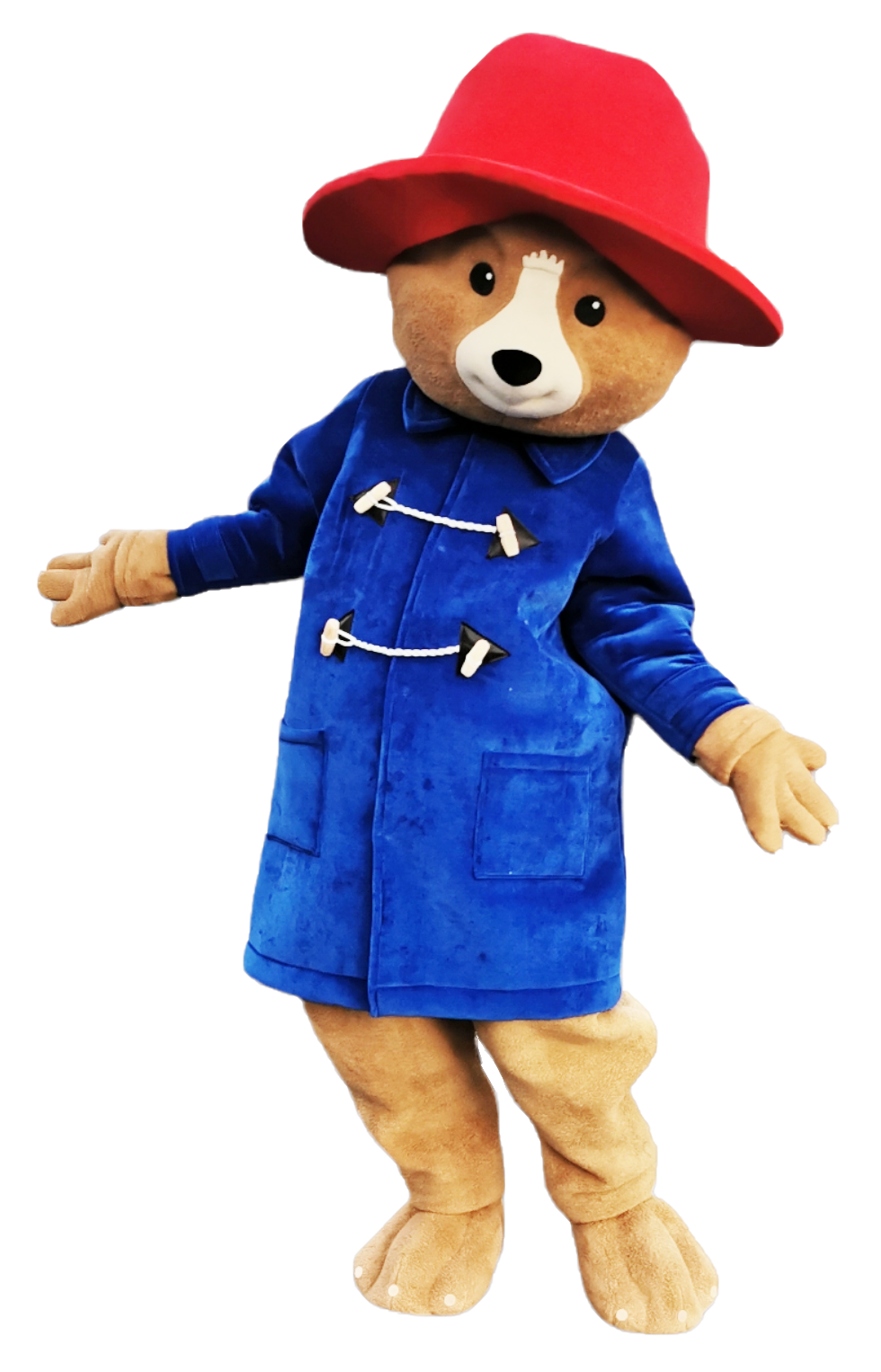 Peluche paddington