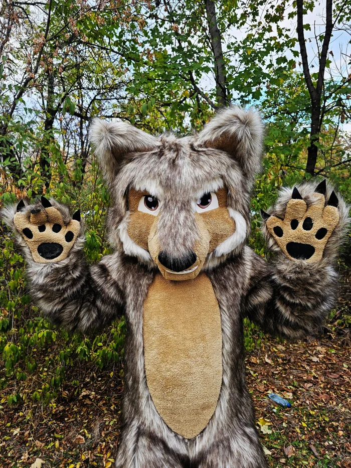 mascot_costumes_saharacostumesil_1588xN.5517401352_8bb6